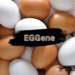 EGGene